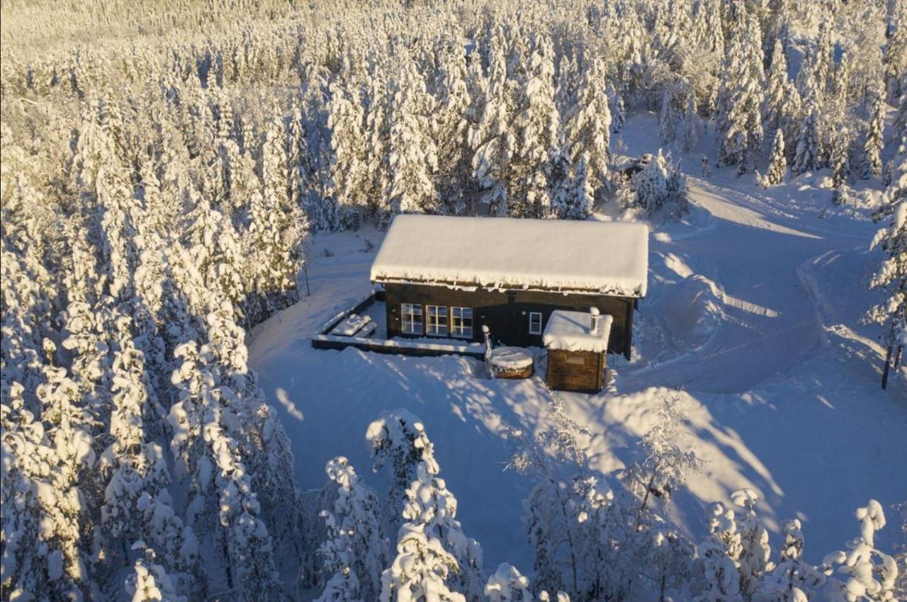 Cabin With Sauna In Трисиль Экстерьер фото