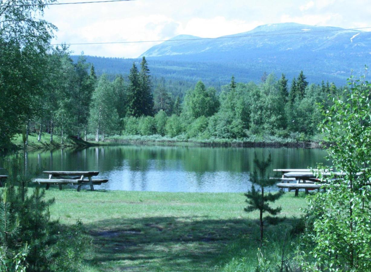 Cabin With Sauna In Трисиль Экстерьер фото